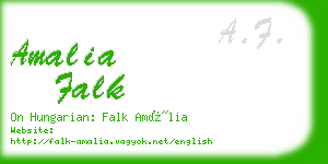 amalia falk business card